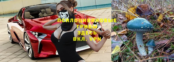 бошки Арсеньев