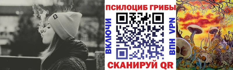купить наркотик Аркадак Галлюциногенные грибы Psilocybine cubensis